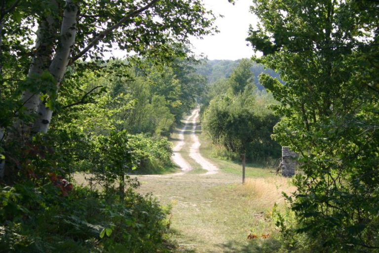 South Manitou Island